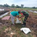 Babinsa Kodim 0322/Siak Bersama Kelompok Tani Famili Maju Kelurahan Sungai Mempura Lakukan Pengolahan Lahan Padi Gogo