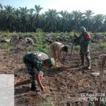 Kodim 0322/Siak Bersama Petani Dayun, Inovasi Penanaman Padi Gogo di Tengah Tantangan