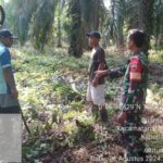 Patroli Karhutla di Wilayah Koramil 06/PWK Sabak Auh, Pemantauan Ketat di Tengah Cuaca Cerah