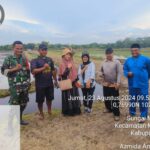 Babinsa Kodim 0322/Siak Bersama Kelompok Tani Famili Maju Lanjutkan Penanaman Padi Gogo di Sungai Mempura