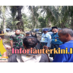 Peninjauan Optimalisasi Irigasi dan Drainase di Kecamatan Bungaraya, Dorong Produksi Pangan Siak