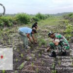 Babinsa Kodim Siak Bersama Kelompok Tani Sada Nioga Cegah Gulma untuk Optimalisasi Hasil Panen Padi Gogo