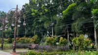 Keindahan taman bukit gelanggang  menjadi Icon Kota dumai