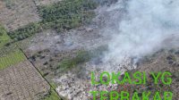 Pelaku Yang Memunculkan Hot Spot Karhutlah di Tangkap Polsek Pinggir Polres Bengkalis di Desa Tasik Serai Kec. Talang Muandau    