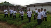 Semangati Asta Cita Presiden dan Wapres serta Program Akselerasi Menteri Imigrasi dan Pemasyarakatan, Lapas Sibolga Siap Wujudkan Ketahanan Pangan