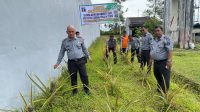 Wujudkan Program Ketahanan Pangan, Rutan Kelas IIB Sidikalang Melaksanakan Penanaman Jagung dan Panen cabai , kol , tomat , storoberi dan nenas