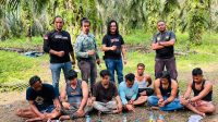 Tim Unit Intel Kodim 0313/KPR Bersama Polsek Tambusai Berhasil Menangkap 9 Orang Diduga Pengedar Narkoboi