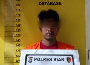 Seorang Pria Diamankan Polsek Sungai Apit Diduga Curi 200 Tual Sagu di Kampung Penyengat