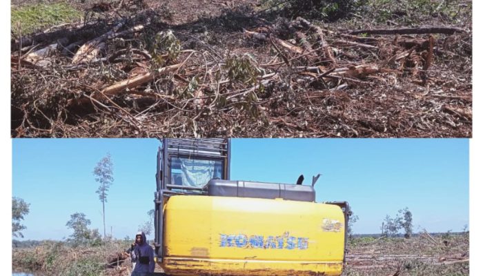 Ganti Rugi !!! PT RAPP Rusak 20 Ha Lahan dan Tanaman Warga,