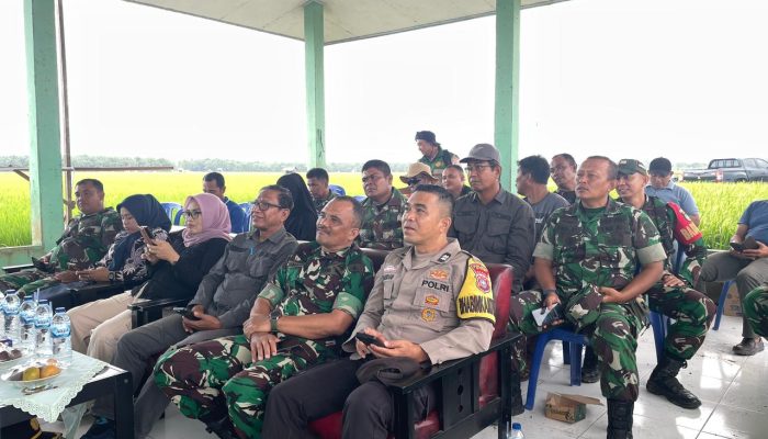 Kasad TNI Tinjau Pengairan Pertanian Terpusat Secara Serentak, Kodim 0322/Siak Ikut Laksanakan Vidcon di Sabak Auh