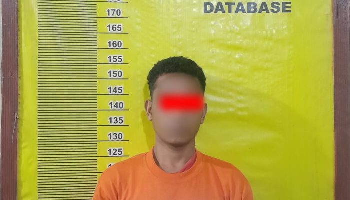 Polsek Tualang Ungkap Pencurian Sawit 2,1 Ton di Areal PT AIP, Satu Pelaku Diamankan, 2 DPO