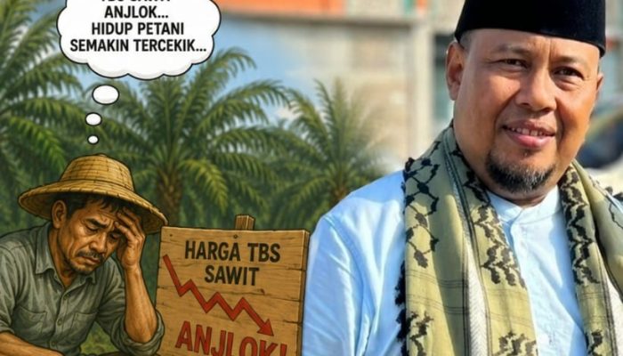 Harga TBS Sawit Anjlok, Ketua DPW FPN RI Riau Desak Pemerintah, KPPU dan APH Usut Dugaan Permainan Harga