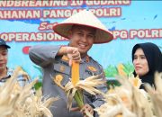 Perkuat Ketahanan Pangan Polres Siak Kelola 93,6 Hektar Lahan Jagung Dukung Swasembada Pangan Nasional