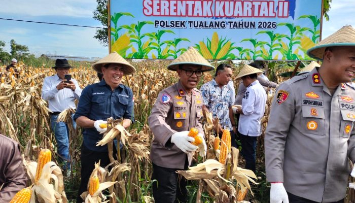 Panen Raya Jagung Kuartal II Tahun 2026, Polres Siak Dukung Swasembada Pangan di Kecamatan Tualang