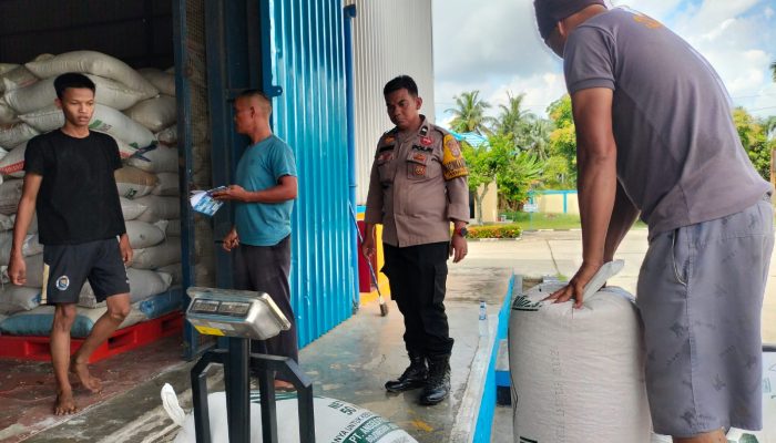 Polsek Tualang Kirim Hasil Panen Jagung Program Ketahanan Pangan ke Bulog Pekanbaru