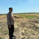 2 Hektare Lahan di PT SIR Disiapkan untuk Mendukung Ketahanan Pangan