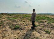 Pengecekan Lahan PT SIR untuk Penanaman Jagung Kuartal II Tahun 2026, Wujud Dukungan Ketahanan Pangan di Kecamatan Tualang