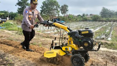 Kapolsek Tualang Lakukan Penggemburan Lahan Jagung di Pondok Pesantren Abu Huroiroh Menggunakan Hand Tractor Dukung Ketahanan Pangan