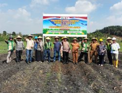 Polsek tualang gandeng PT. AIP Dukung Ketahanan pangan tanami 2Ha jagung pipil