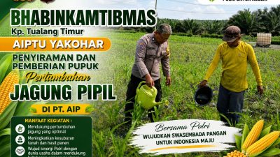 Jaga Pertumbuhan Jagung Pipil Dalam Rangka Ketahanan Pangan, Bhabinkamtibmas dan PT AIP Rutin Lakukan Penyiraman