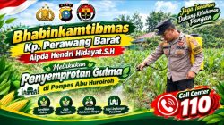 Terik Matahari Tak Jadi Halangan, Bhabinkamtibmas Gaspol Semprot Gulma Jagung Ketahanan Pangan